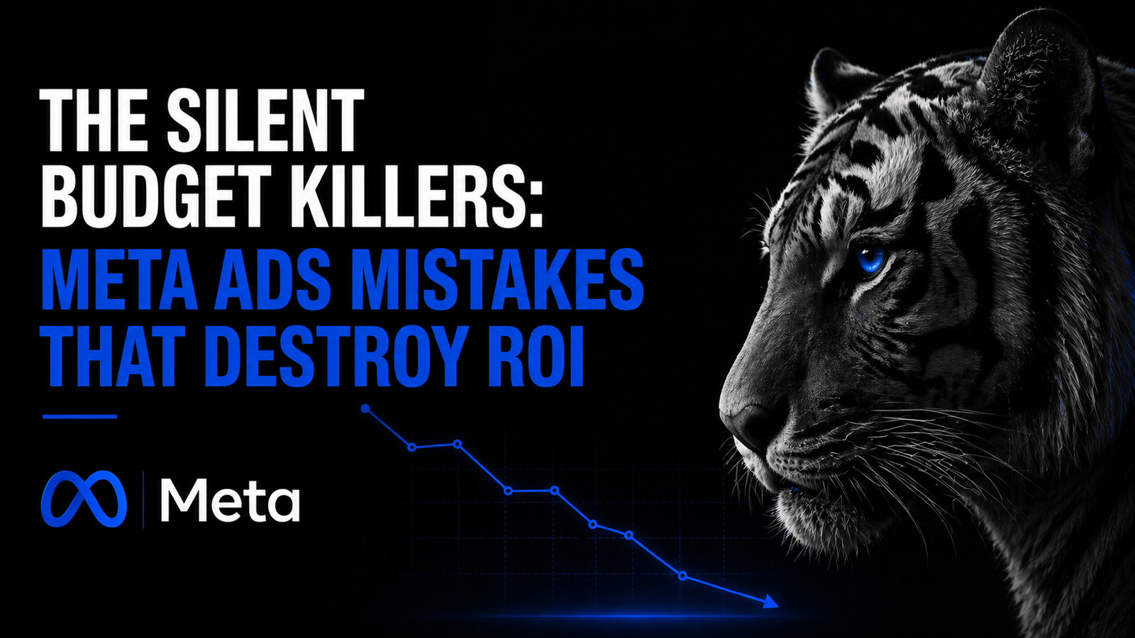 THE SILENT BUDGET KILLERS: META ADS MISTAKES THAT DESTROY ROI